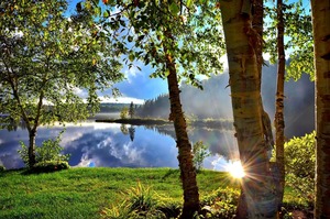 Summer landscape 1500748 1920